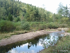 Le Ruisseau de Presles a peu d'eau, tout comme la Moselle, dû au déficit de pluie